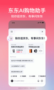 京东2024版