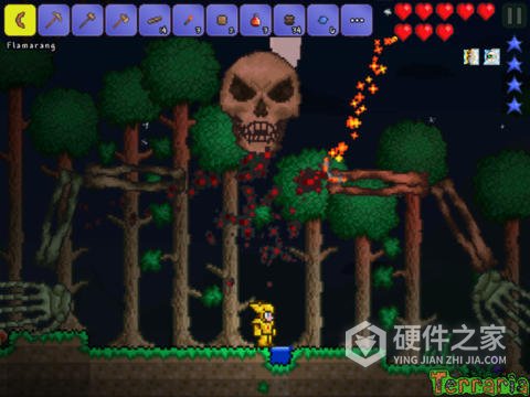 tmodloader中文版