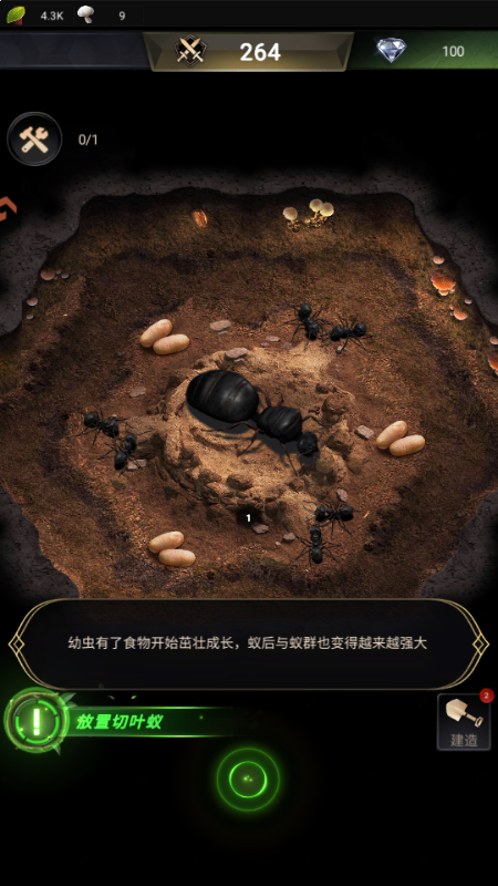 小小蚁国官方版