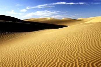 垃圾箱清空的文件能恢复吗