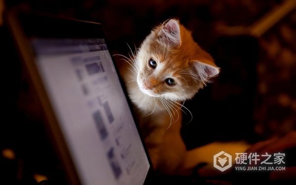 手机文件管理视频恢复方式一览