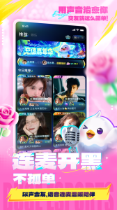 不鸽语音