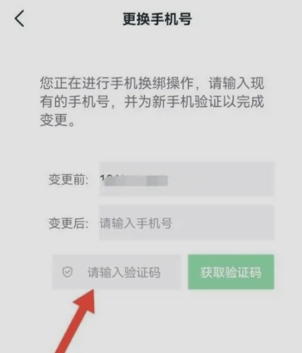 大鹏教育app最新版
