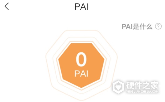 小米手环5PAI是什么意思