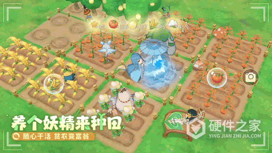 织梦森林公测版