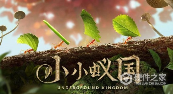 小小蚁国正版