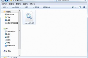 怎么把dll放进exe目录