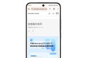 鸿蒙NEXT如何回退系统