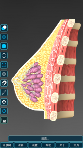 人体解剖学图集