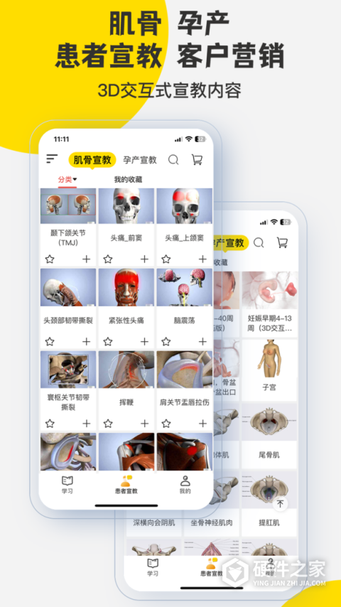 3Dbody解剖app