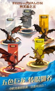 阿瓦隆之王测试服