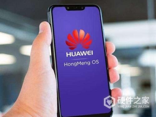 鸿蒙测试版在哪里看审核状态