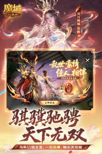 魔域口袋版九游版