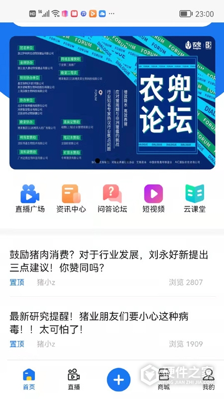 农兜