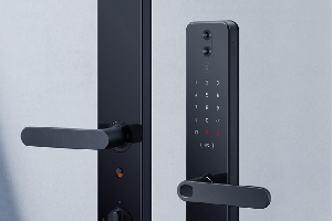 小米智能门锁pro怎么远程监控