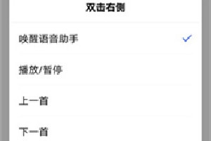 vivotwsneo怎么切歌