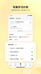 飞行之翼