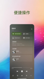 椒盐音乐车机版