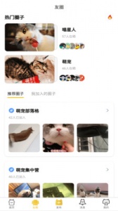 友猫（宠物猫社交）