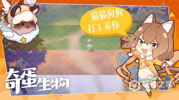 奇蛋生物