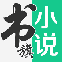 书旗小说大字版