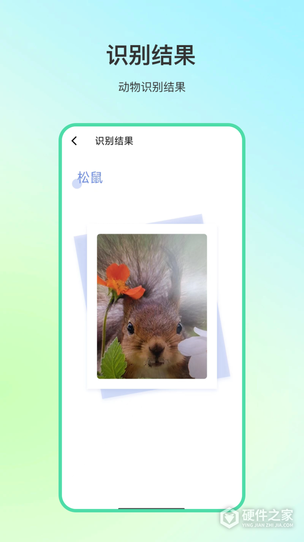 动物百科