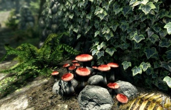 上古卷轴5：天际缺少binkw32.dll文件无法启动怎么办