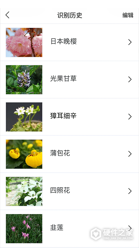 识花