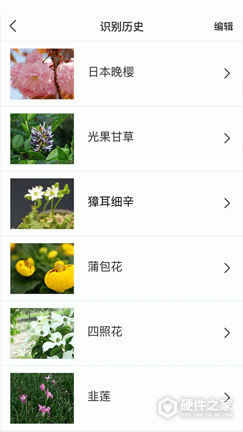 识花手机软件
