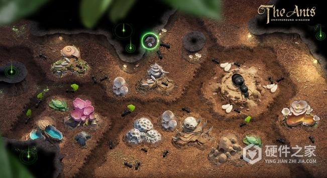 小小蚁国试玩版