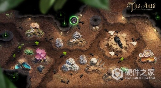 小小蚁国试玩版