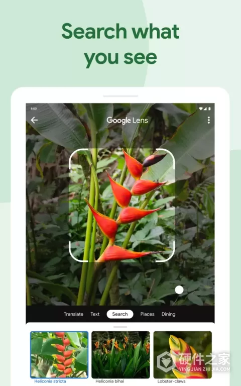Google Photos app