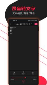 专业录音助手