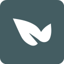 青藤之恋匹配版