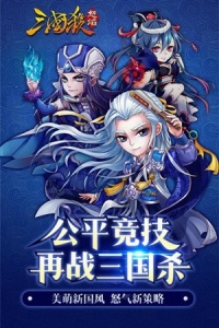 怒焰三国杀果盘版