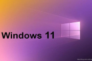 Win11文件属性后缀怎么显示