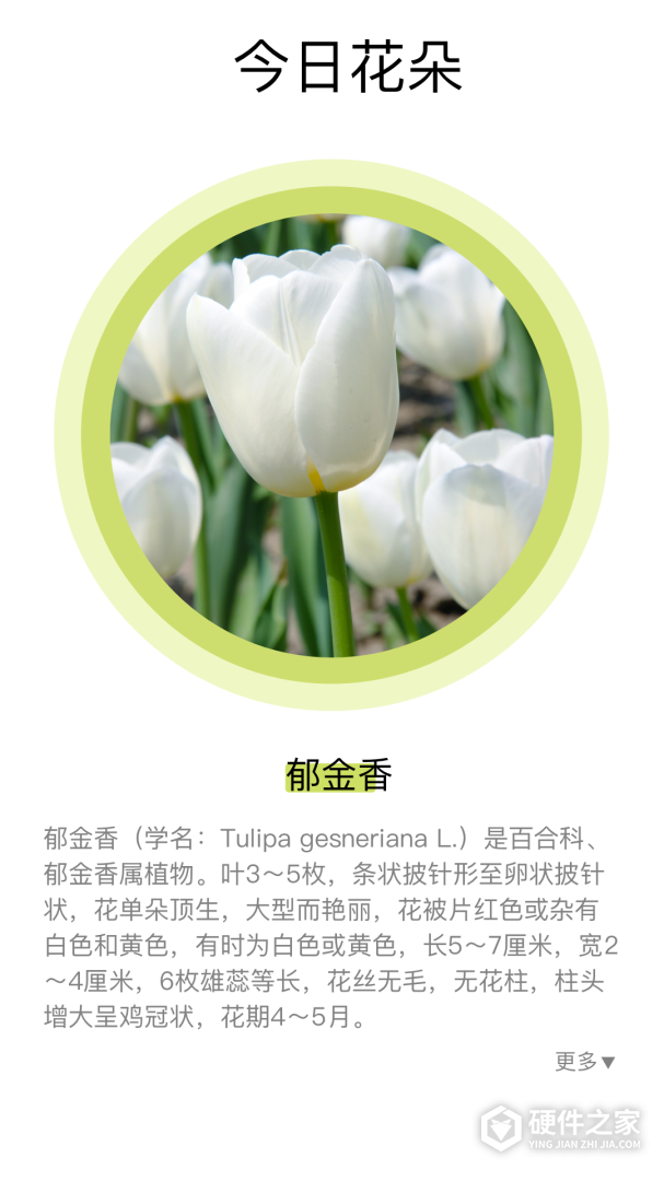 花草妙识