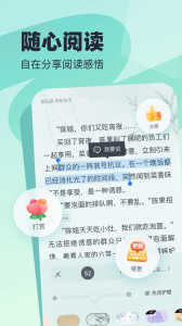 飞读小说老版