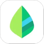 薄荷记账App