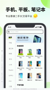 拍拍