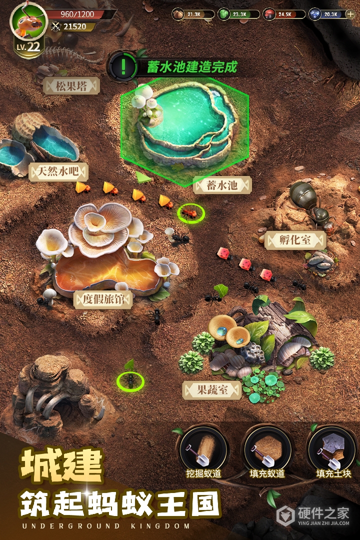 小小蚁国最新版