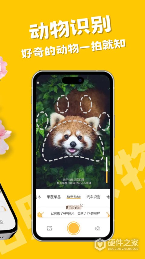 随手拍照识物app