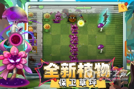 植物大战僵尸2国际服