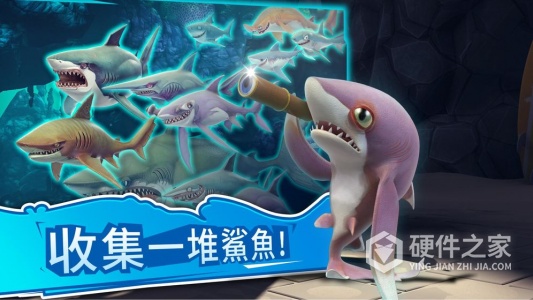 饥饿鲨世界网易版
