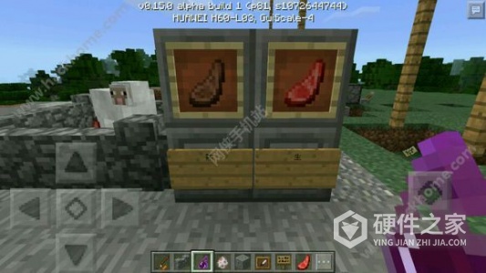 我的世界国际服最新版