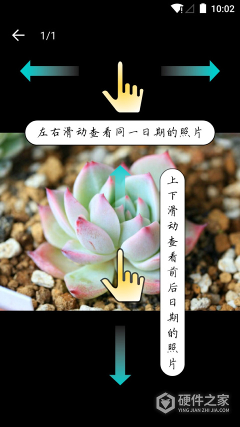 多肉成长记app