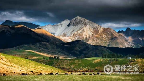 cf卡误删数据恢复怎么解决