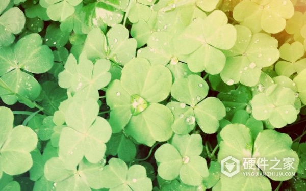 outlook重装系统后邮件恢复方法