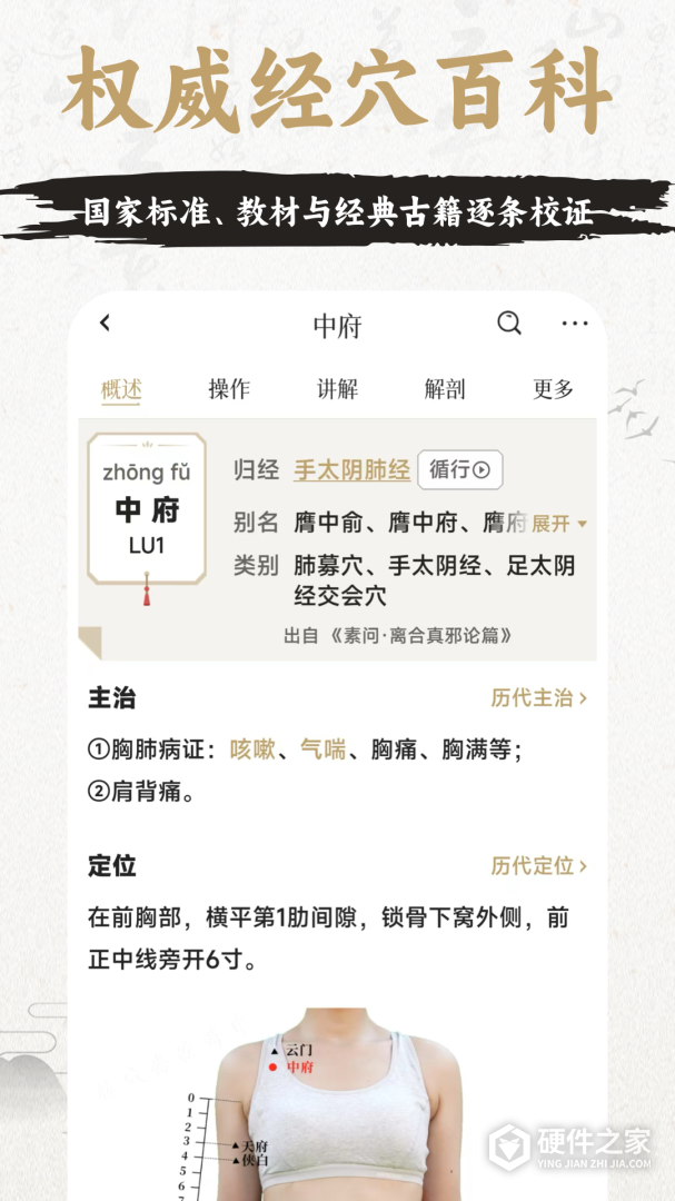 中济经络穴位