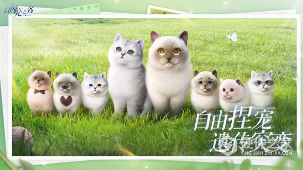 以闪亮之名最新版